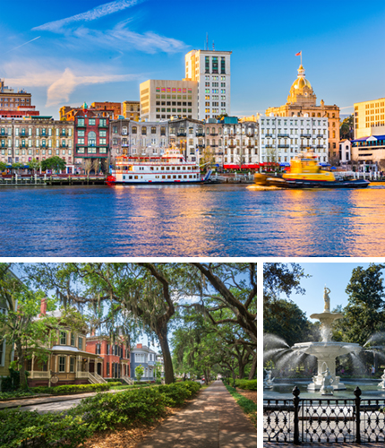 savannah-collage.jpg